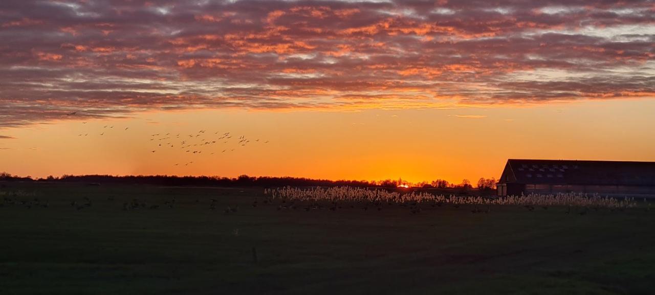 B&B De Kan Hoeve De Veenhoop エクステリア 写真